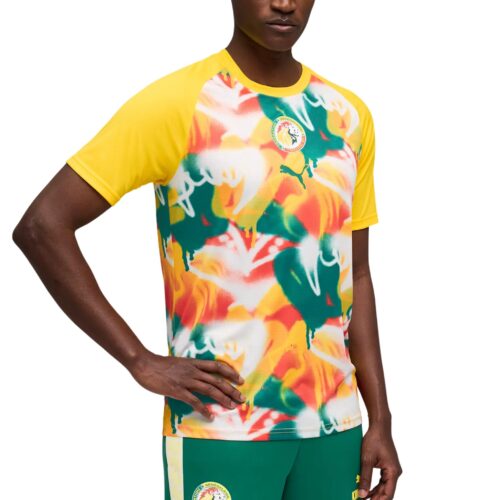 Senegal FSF Pre-Game Jersey 2026/27